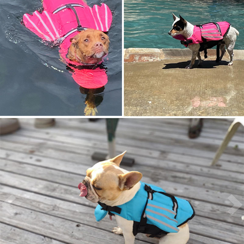 Giubbotto di salvataggio per c - Life Jacket recensione e prezzo